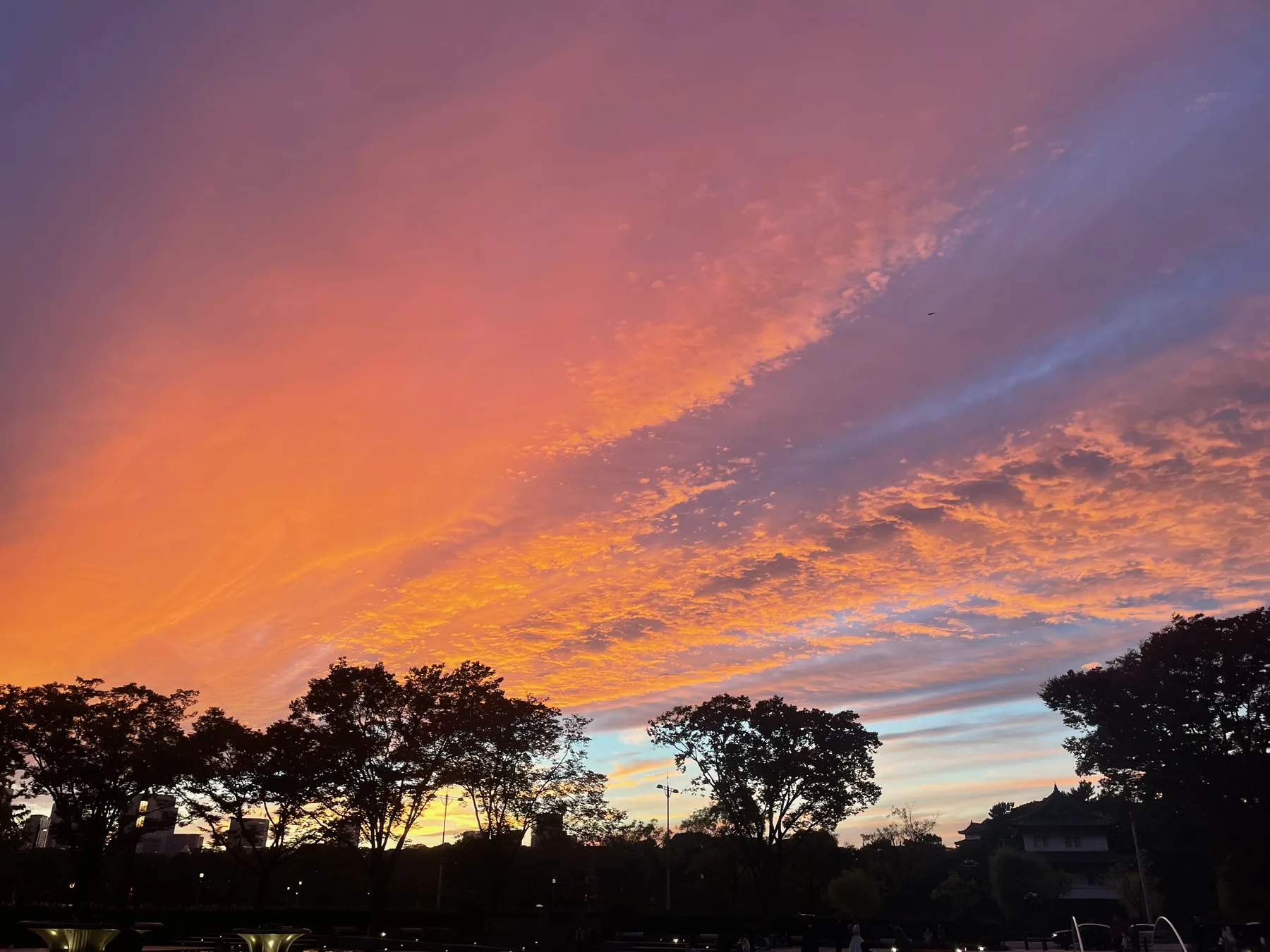 2025年の振り返り